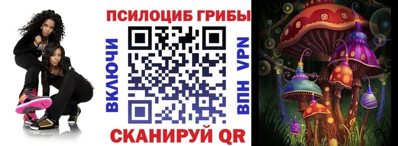 где продают   Ясногорск  Псилоцибиновые грибы ЛСД 